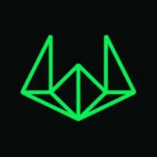 Wintermute logo